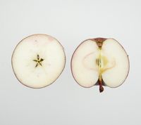 Jonagored æble